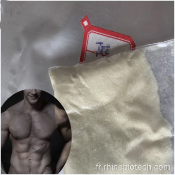 Bodybuilding injectableTestostérone Enanthate CAS 315-37-7